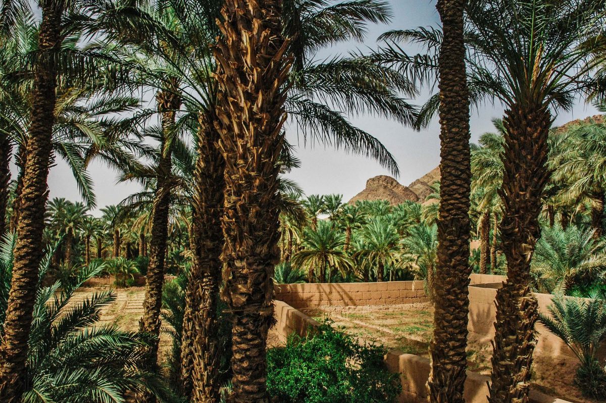 Marrakech to Zagora Desert Tour