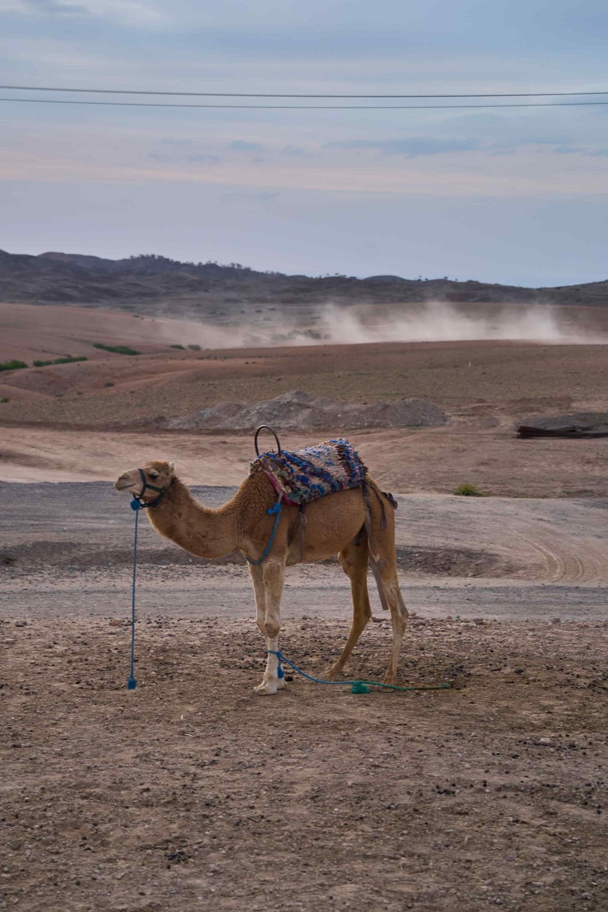 Camel Riding in Agafay Desert